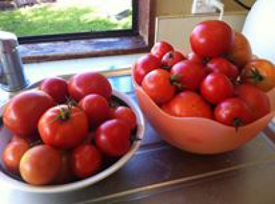 European Crafted Fruit & Veggie Peeler, Tomato Peeler & Julienne Slice -  Raw Rutes