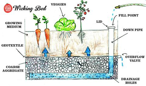 How To Make An Ibc Wicking Bed Simple, How To Build A Self Wicking Garden Bed