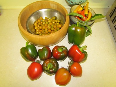 https://www.simplesavings.com.au/images/uploads/149753/Capsicums.20110810211038.medium.jpg